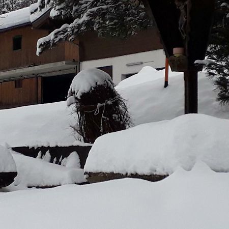 Appartement Wildkogelblick Neukirchen am Großvenediger Eksteriør billede