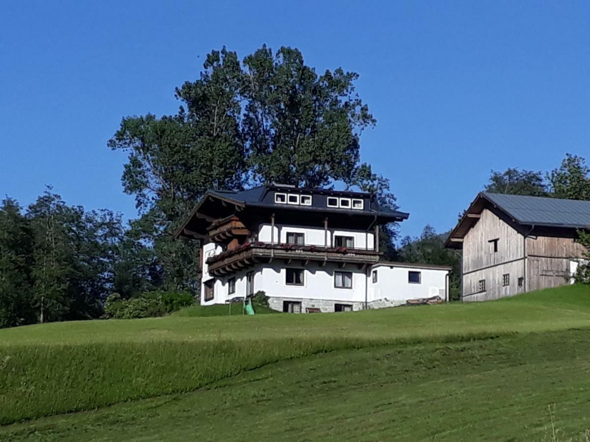 Appartement Wildkogelblick Neukirchen am Großvenediger Eksteriør billede